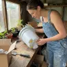 Abreuvoir 12L à 3 pipettes jaunes pour volailles - Olba