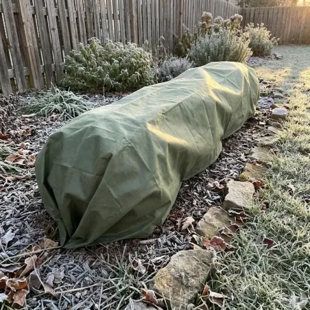 Couverture non tissée 30 gsm pour protection des plantes