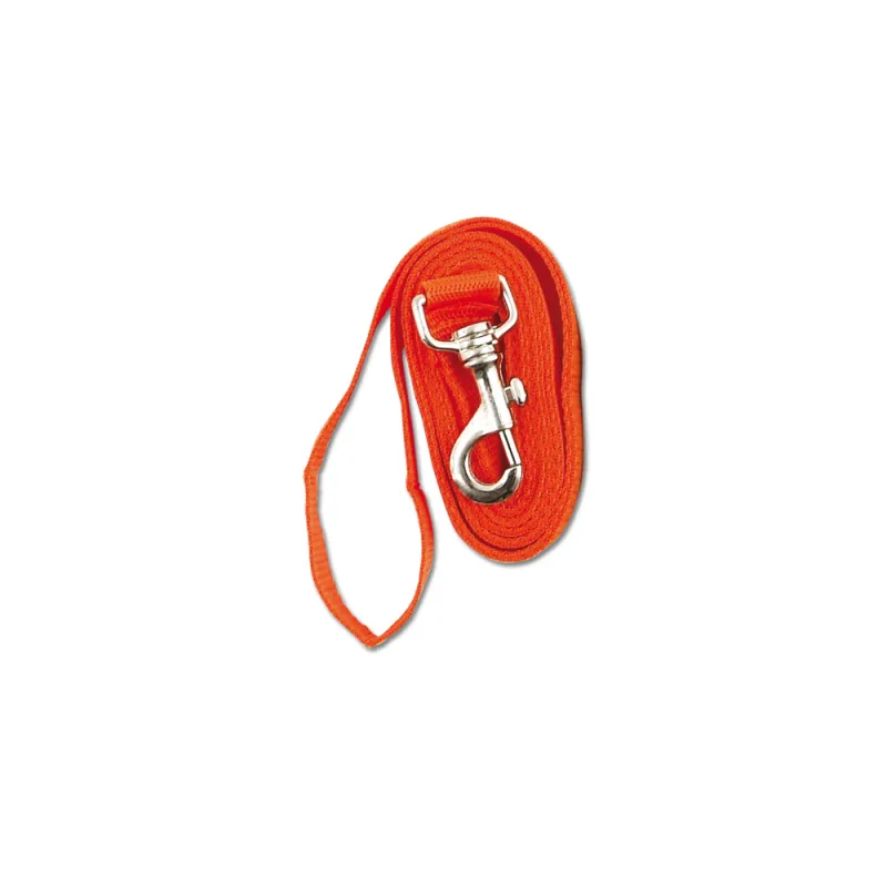 Laisse pour chien 1,5 m orange - 25 mm de large
