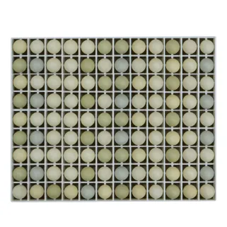 Panier incubation faisan TR108 - 108 oeufs en plastique