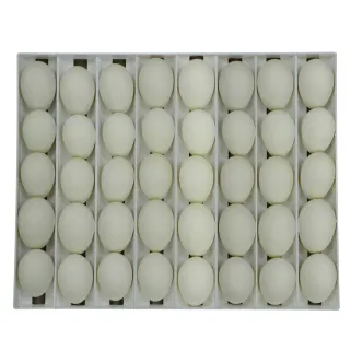 Panier incubation 40 œufs d'oie - Modèle TR40