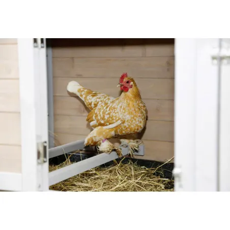 Poulailler premium renforcé métal - Grand luxe