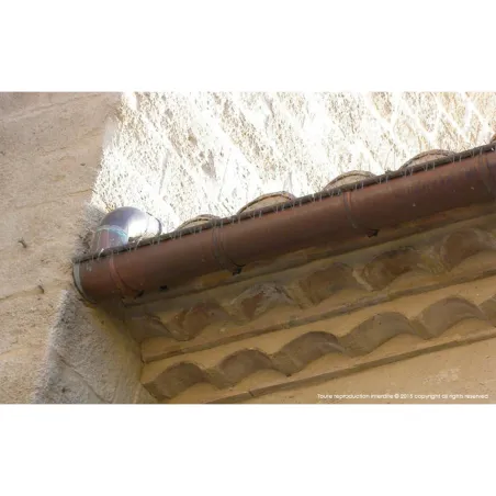 Lot de 12 pics anti-pigeons pour gouttières galvanisées