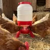 Kit abreuvoir 40L + mangeoire 30kg sur pieds volailles