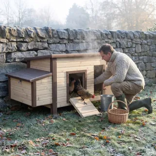 Poulailler isolé chauffant 3-4 poules avec thermostat