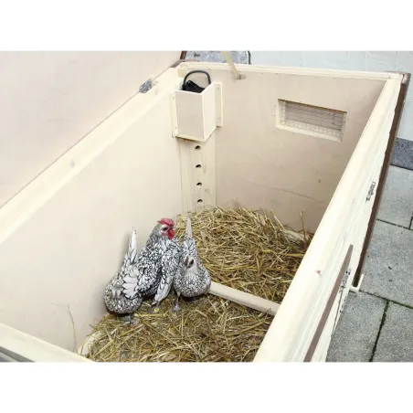 Poulailler isolé chauffant 3-4 poules avec thermostat