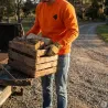 Sweat chasse orange sanglier Treeland - S à 3XL polyester
