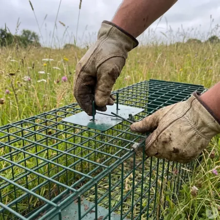 10 cages renard robustes 140x35cm - piégeage prédateurs