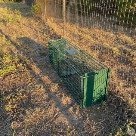 10 cages renard robustes 140x35cm - piégeage prédateurs