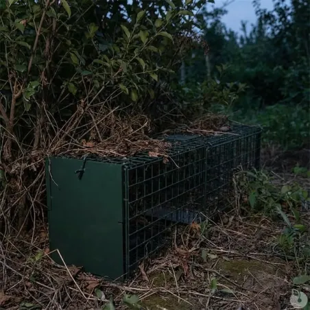 10 cages renard robustes 140x35cm - piégeage prédateurs