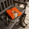 Sweat capuche épagneul Bartavel® orange vif 50% coton