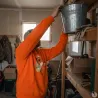 Sweat capuche épagneul Bartavel® orange vif 50% coton