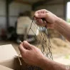 Filet volière 60 mm - 50x25m pour volailles protégées