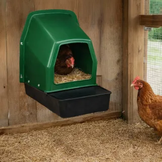 Pondoir poule plastique GAUN avec collecteur | Ducatillon