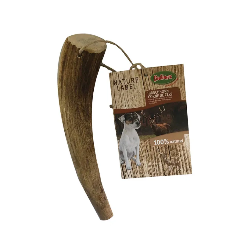 Bois de cerf naturel pour chien - Taille M