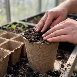 Pots biodégradables pour semis - Lot de 10 Progarden