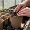 Pots biodégradables pour semis - Lot de 10 Progarden