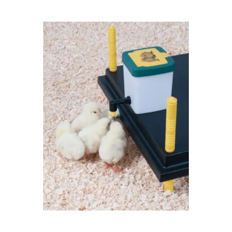 Abreuvoir pipette 1L pour poussins et cailles - Fixation cage