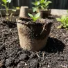 Pots biodégradables pour semis - Lot de 10 Progarden