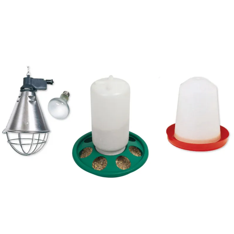 Kit complet élevage poussins avec accessoires