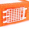 Cage transport démontable pour volailles et rongeurs 77x58x29cm
