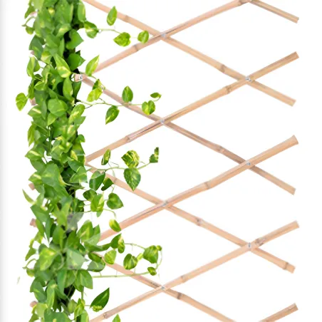 Treillis bambou extensible 70x180 cm naturel