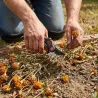 Sécateur Black&Decker 20cm - Précision et confort