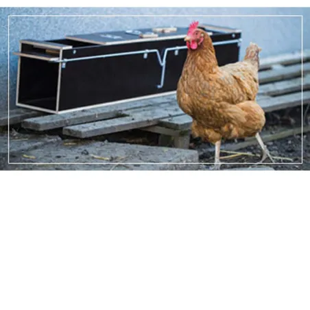 Piège bois 2 entrées pour nuisibles 119x19x24 cm