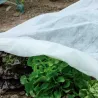 Voile polypropylène 1,5x5 m - Protection durable extérieur
