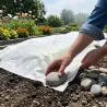 Voile polypropylène 1,5x5 m - Protection durable extérieur