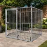 Chenil carré 2x2 m acier - Kit complet avec porte