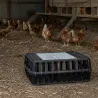 Caisse de transport empilable pour volailles - 85x50x30 cm