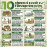 Râtelier mural galvanisé pour 5 veaux - Anti-gaspi