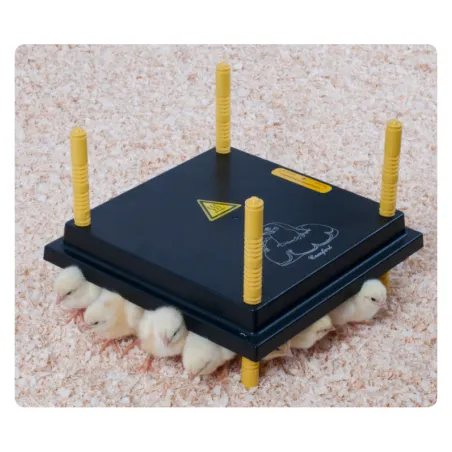 Panneau chauffant pour poussins 22W - Économique et sécurisé