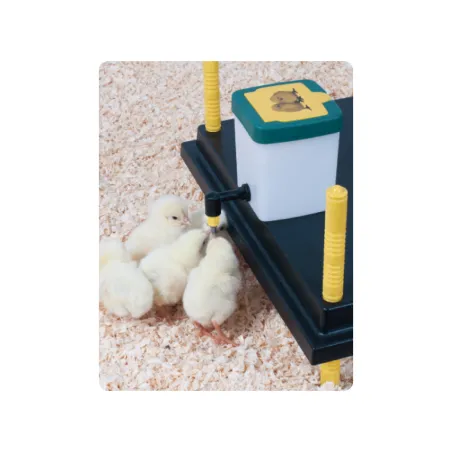 Panneau chauffant pour poussins 22W - Économique et sécurisé