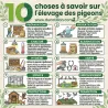Spoutnik 3 positions pour pigeonnier - Confort optimal