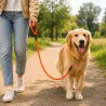 Laisse HB DOG Biothane orange 120 cm - Confort & Sécurité