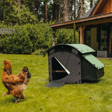 Poulailler écologique 5 à 9 poules en plastique recyclé