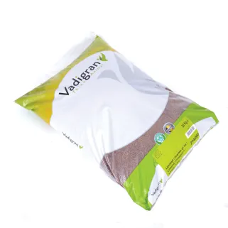 Graines de lin VADIGRAN dépoussiérées - 4 kg pour volailles