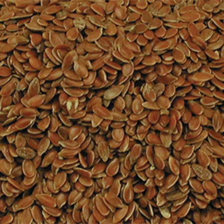 Graines de lin VADIGRAN dépoussiérées - 4 kg pour volailles