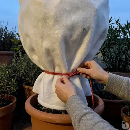 Câble élastique rouge 20m - Fixation multifonction