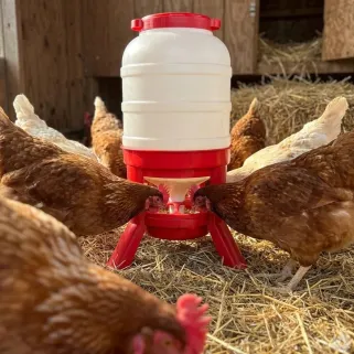 Mangeoire anti-gaspi 30 kg Gaun - Pieds stables