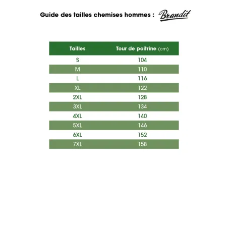 Chemise Homme Flanelle Brandit® - Carreaux Noir/Gris