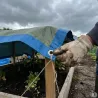 Bâche ultra-légère 2x3 m pour protection extérieure