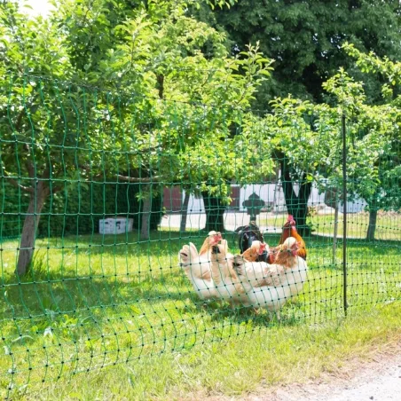 Filet non électrifiable pour poules 25m H106cm double pointe