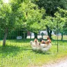 Filet non électrifiable pour poules 25m H106cm double pointe