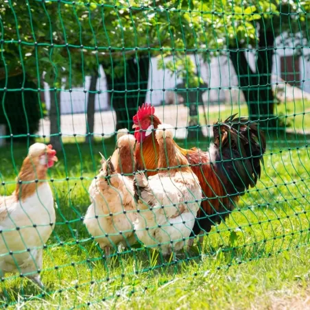Filet non électrifiable pour poules 25m H106cm double pointe