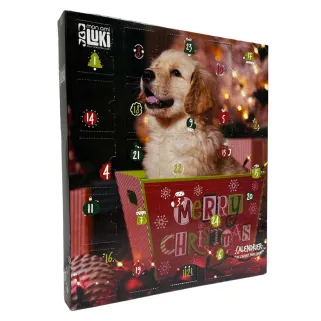 Calendrier de l'Avent animaux - 24 surprises festives