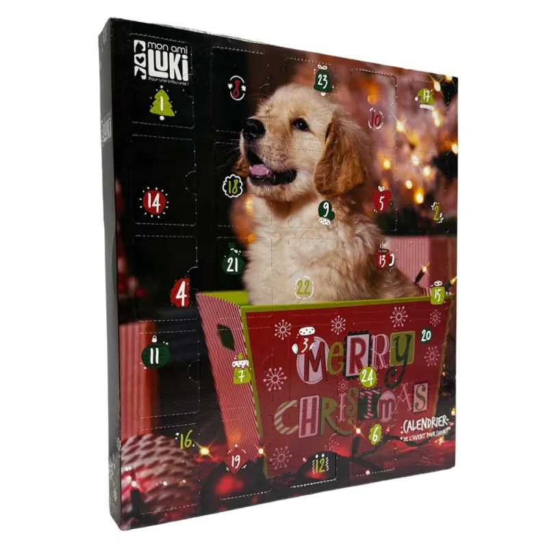 Calendrier de l'Avent animaux - 24 surprises festives