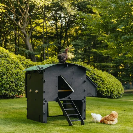 Poulailler surélevé plastique recyclé 8-15 poules